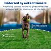 imagePetSafe Stay ampamp Play Wireless Pet Fence for Stubborn Dogs  No Dig Circular Boundary Secure 34Acre Yard for Dogs 5lbs Americas Safest Wireless Pet Containment SystemStubborn Dog Wireless Fence Kit