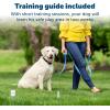 imagePetSafe Stay ampamp Play Wireless Pet Fence with Replaceable Battery Collar  Circular Boundary Secures up to 34 Acre NoDig Portable Fence for Dogs 5 lb ampamp Up from Parent Company Invisible Fence BrandReceiver Collar Only