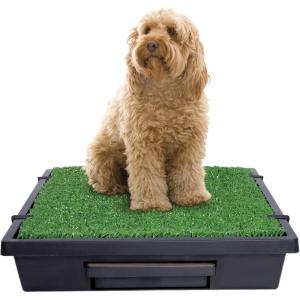 imagePetSafe Pet Loo Portable Dog Potty  Pet Toilet Alternative for Puppy Pads  Medium  Perfect for House Training  EasytoClean Grass MatMedium Pack of 1