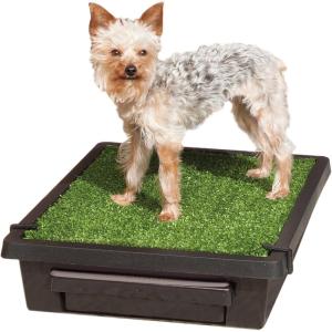 imagePetSafe Pet Loo Portable Dog Potty  Pet Toilet Alternative for Puppy Pads  Medium  Perfect for House Training  EasytoClean Grass MatSmall Pack of 1