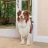 imagePetSafe Doggy Door for Sliding Glass Doors Adjustable Height 75 78quot to 81quot NoCut DIY Install Aluminum Panel Ideal for Renters for Medium Dogs Up to 40 lb White MediumWhite