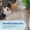 imagePetSafe ScatMat Indoor Training Mat 7 Correction Modes Protect Your Furniture Training Tool for Dogs and Cats Large Size Mat 48 in X 20 in  Pet Proof Your Home  BatteryOperated MatSofa 60 x 12