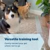 imagePetSafe ScatMat Indoor Training Mat 7 Correction Modes Protect Your Furniture Training Tool for Dogs and Cats Large Size Mat 48 in X 20 in  Pet Proof Your Home  BatteryOperated MatLarge 48 in X 20 in