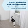 imagePetSafe ScatMat Indoor Training Mat 7 Correction Modes Protect Your Furniture Training Tool for Dogs and Cats Large Size Mat 48 in X 20 in  Pet Proof Your Home  BatteryOperated MatStrip 46 in X 3 in