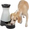 imagePetSafe Healthy Pet Water Station  Large 320 oz Capacity  Gravity Pet Water Fountain Automatic Cat Water Fountain or Dog Water Fountain  Water Dispenser  Removable Stainless Steel Bowl IncludedWaterer