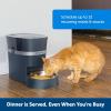 imagePetSafe Smart Feed Pet Feeder Automatic Cat Feeder Automatic Dog Feeder with App Compatible with Alexa Apple Android Backup Batteries for Power Outage BlackFeeder for 1 Pet