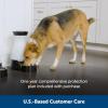 imagePetSafe Healthy Pet Food Station  Small 2 lb Kibble Capacity  Gravity Pet Feeder Dry Food Dispenser  Automatic Cat Feeder or Small Dog Feeder  Removable Stainless Steel Bowl IncludedFeeder