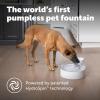 imagePetSafe Outlast Pumpless Cat Water Fountain 60 oz17L Indoor Water Dispenser for Cats Dishwasher Safe Easy Assembly and Cleaning Water Filter Included128 oz
