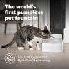 imagePetSafe Outlast Pumpless Cat Water Fountain 60 oz17L Indoor Water Dispenser for Cats Dishwasher Safe Easy Assembly and Cleaning Water Filter Included60 oz