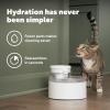 imagePetSafe Outlast Pumpless Cat Water Fountain 60 oz17L Indoor Water Dispenser for Cats Dishwasher Safe Easy Assembly and Cleaning Water Filter Included60 oz