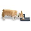 imagePetSafe Digital 2 Meal Programmable Pet Feeder Automatic Dog and Cat Feeder  Dry or SemiMoist Pet Food Dispenser Slow Feed Portion Control 3 Cup16 Ounce TamperResistant Dishwasher Safe