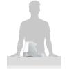 imagePetSafe Drinkwell Platinum Cat Water Fountain 168 oz5L  Pet Fountain for All Pet Sizes Indoor Use Encourages More Drinking Includes Replaceable Carbon Filter GreyPlatinum