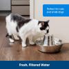 imagePetSafe Drinkwell Stainless Steel 360 Multiple Pet Fountain  Scratch and Rust Resistant Automatic Water Dispenser for Cats or Dogs  Adjustable Flow Control  128 Ounce 38 Liter  Filters IncludedSeaside Stainless