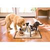 imagePetSafe Drinkwell Stainless Steel 360 Multiple Pet Fountain  Scratch and Rust Resistant Automatic Water Dispenser for Cats or Dogs  Adjustable Flow Control  128 Ounce 38 Liter  Filters Included360 Stainless