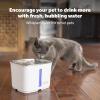 imagePetSafe Viva Pet Fountain for Cats and Dogs  41L140 oz Indoor Cat Water Fountain with Ultra Quiet Pump Dishwasher Safe Easy to Clean Water Filters Included64 oz stainlesssteel