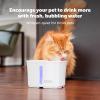 imagePetSafe Viva Pet Fountain for Cats and Dogs  41L140 oz Indoor Cat Water Fountain with Ultra Quiet Pump Dishwasher Safe Easy to Clean Water Filters Included64 oz
