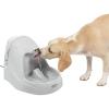 imagePetSafe Drinkwell Platinum Cat Water Fountain 168 oz5L  Pet Fountain for All Pet Sizes Indoor Use Encourages More Drinking Includes Replaceable Carbon Filter GreyPlatinum