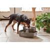 imagePetSafe MultiTier Pet Fountain  Large Waterer Great for Cats and Dogs  2 Heights to Drink from  Great for Senior Pets  100 Oz Water Capacity  Fresh Filtered Water