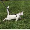 imagePetSafe Come with Me Kitty Harness and Bungee Leash Large LilacBlack