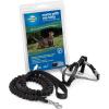 imagePetSafe Come with Me Kitty Harness and Bungee Leash Large LilacBlack