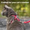 imagePetSafe Come with Me Kitty Harness and Bungee Leash Large LilacBlack