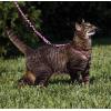 imagePetSafe Come with Me Kitty Harness and Bungee Leash Large LilacDusty Rose