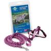 imagePetSafe Come with Me Kitty Harness and Bungee Leash Large LilacDusty Rose