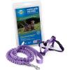 imagePetSafe Come with Me Kitty Harness and Bungee Leash Large LilacLilac