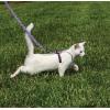 imagePetSafe Come with Me Kitty Harness and Bungee Leash Large LilacLilac