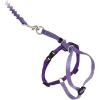 imagePetSafe Come with Me Kitty Harness and Bungee Leash Large LilacLilac
