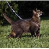 imagePetSafe Come with Me Kitty Harness and Bungee Leash Large LilacLilac