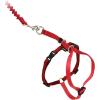 imagePetSafe Come with Me Kitty Harness and Bungee Leash Large LilacRed