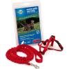 imagePetSafe Come with Me Kitty Harness and Bungee Leash Large LilacRed