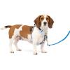 imagePetSafe Easy Walk Comfort NoPull Dog Harness FullBody Padding  Better Walks on 1st Use  5 Points of Adjustment XS Small Medium ampamp Large Dogs BlueBlackGreenPinkBlue