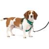 imagePetSafe Easy Walk Comfort NoPull Dog Harness FullBody Padding  Better Walks on 1st Use  5 Points of Adjustment XS Small Medium ampamp Large Dogs BlueBlackGreenPinkGreen
