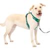 imagePetSafe Easy Walk Comfort NoPull Dog Harness FullBody Padding  Better Walks on 1st Use  5 Points of Adjustment XS Small Medium ampamp Large Dogs BlueBlackGreenPinkGreen