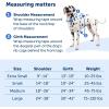 imagePetSafe Easy Walk Comfort NoPull Dog Harness FullBody Padding  Better Walks on 1st Use  5 Points of Adjustment XS Small Medium ampamp Large Dogs BlueBlackGreenPinkGreen