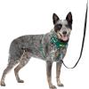 imagePetSafe Easy Walk Comfort NoPull Dog Harness FullBody Padding  Better Walks on 1st Use  5 Points of Adjustment XS Small Medium ampamp Large Dogs BlueBlackGreenPinkGreen