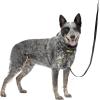 imagePetSafe Easy Walk Comfort NoPull Dog Harness FullBody Padding  Better Walks on 1st Use  5 Points of Adjustment XS Small Medium ampamp Large Dogs BlueBlackGreenPinkBlack
