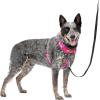 imagePetSafe Easy Walk Comfort NoPull Dog Harness FullBody Padding  Better Walks on 1st Use  5 Points of Adjustment XS Small Medium ampamp Large Dogs BlueBlackGreenPinkPink
