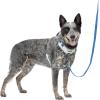 imagePetSafe Easy Walk Comfort NoPull Dog Harness FullBody Padding  Better Walks on 1st Use  5 Points of Adjustment XS Small Medium ampamp Large Dogs BlueBlackGreenPinkBlue