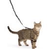 imagePetSafe Come with Me Kitty Harness and Bungee Leash Large LilacBlack