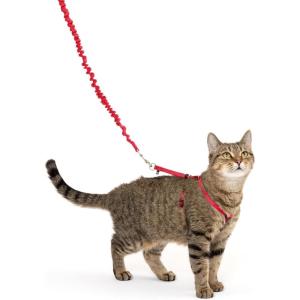imagePetSafe Come with Me Kitty Harness and Bungee Leash Medium RedRed