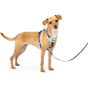 imagePetSafe Easy Walk Comfort NoPull Dog Harness FullBody Padding  Better Walks on 1st Use  5 Points of Adjustment XS Small Medium ampamp Large Dogs BlueBlackGreenPinkBlue