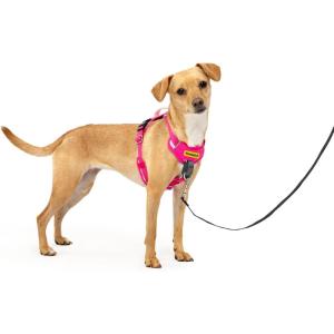 imagePetSafe Easy Walk Comfort NoPull Dog Harness FullBody Padding  Better Walks on 1st Use  5 Points of Adjustment XS Small Medium ampamp Large Dogs BlueBlackGreenPinkPink