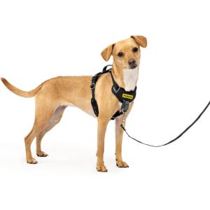 imagePetSafe Easy Walk Comfort NoPull Dog Harness FullBody Padding  Better Walks on 1st Use  5 Points of Adjustment XS Small Medium ampamp Large Dogs BlueBlackGreenPinkBlack