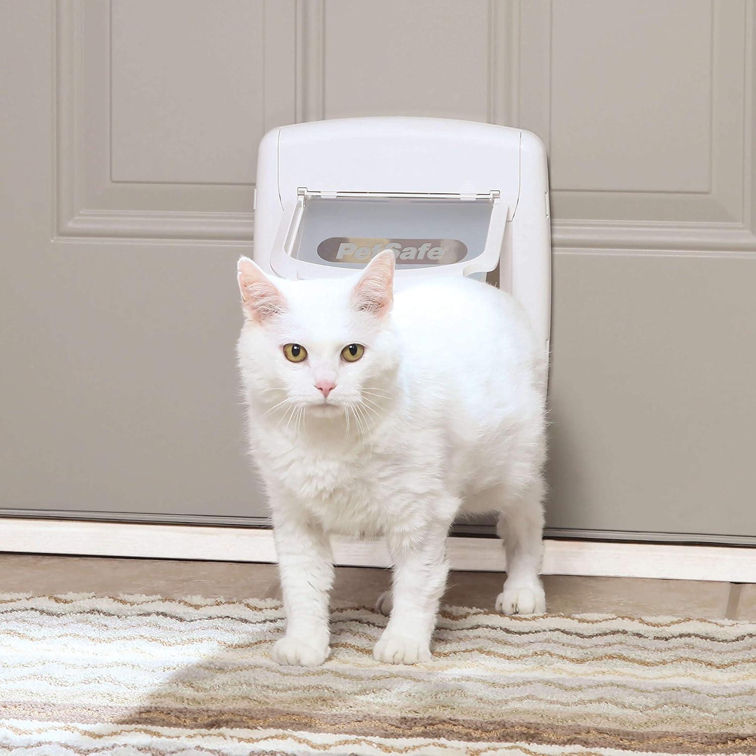 imagePetSafe ExteriorInterior Cat Door 4Way Locking Pet Door Flap  Tinted Privacy Door for Outdoor or Indoor Use  Weatherproof Durable Door Frame  DIY Easy Install with Hardware Kit IncludedRegular Cat Door