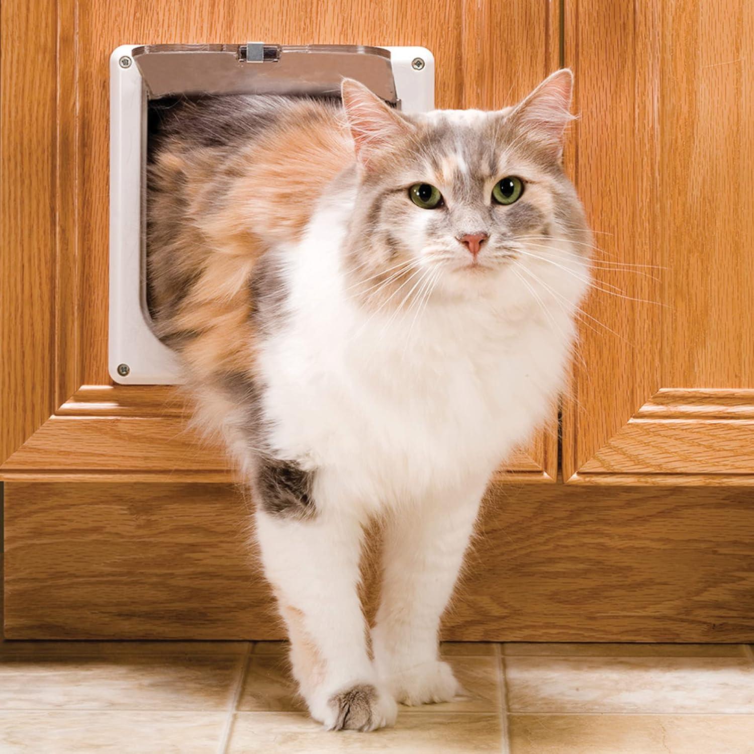 imagePetSafe Interior Cat Door 2Way Locking Indoor Pet Door Flap  Tinted Privacy Door for Cat Litter Box or Pet Feeder BuiltIn Door Lock Durable Door Frame DIY Easy Install Hardware Kit Included2Way Lock