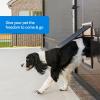 imagePetSafe Cat Door for Screen Door  Size Small  for Small Dogs and Cats up to 30 lb  Use in Screen Doors  Window Screens and Porch ScreensSmall Pack of 1