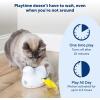 imagePetSafe Electronic Cat Toys  Automatic Cheese and PeekABird  Hide and Seek Teaser Toy  Interactive Bird and Mouse Hunt  Play While You are AwayPeekABird Toy